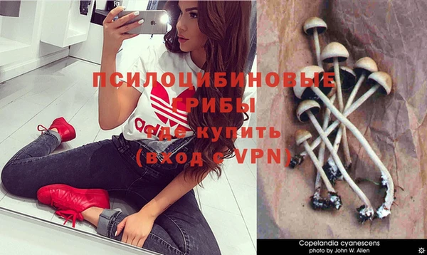 мяу мяу мука Медвежьегорск