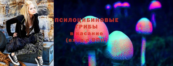 мяу мяу мука Медвежьегорск