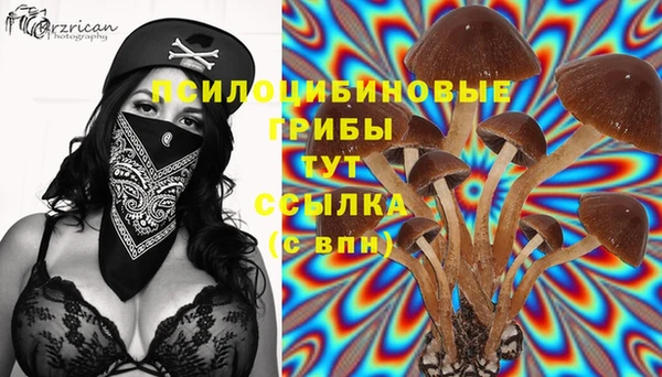 крисы Медногорск