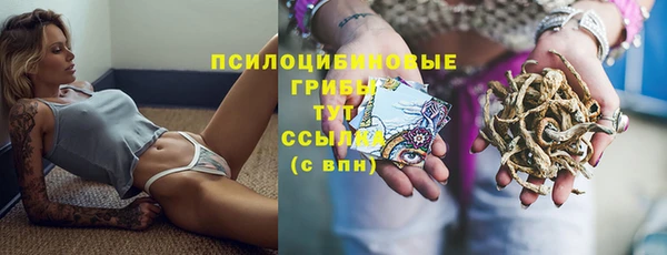 мяу мяу мука Медвежьегорск