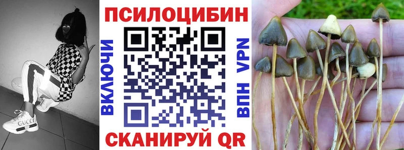 Псилоцибиновые грибы GOLDEN TEACHER  Купить закладки  Мураши 